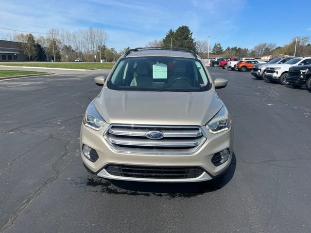 Used 2017 Ford Escape SE w/ SE Leather Comfort Package FWD image 3