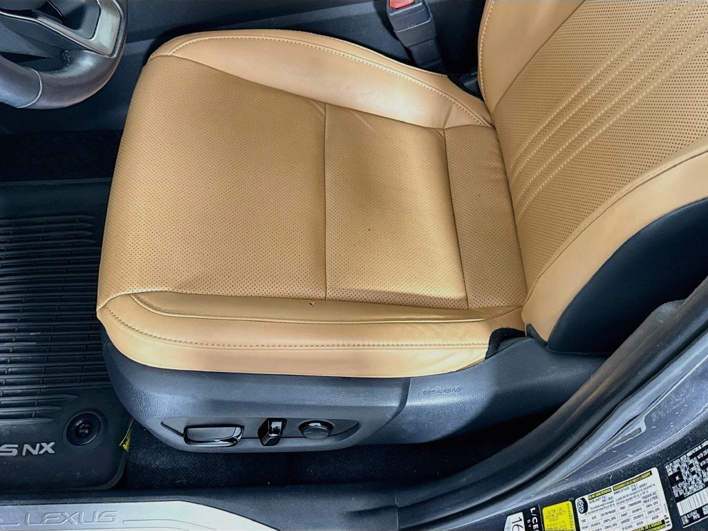 Certified 2024 Lexus NX 350h AWD w/ Cold Area Package image 20