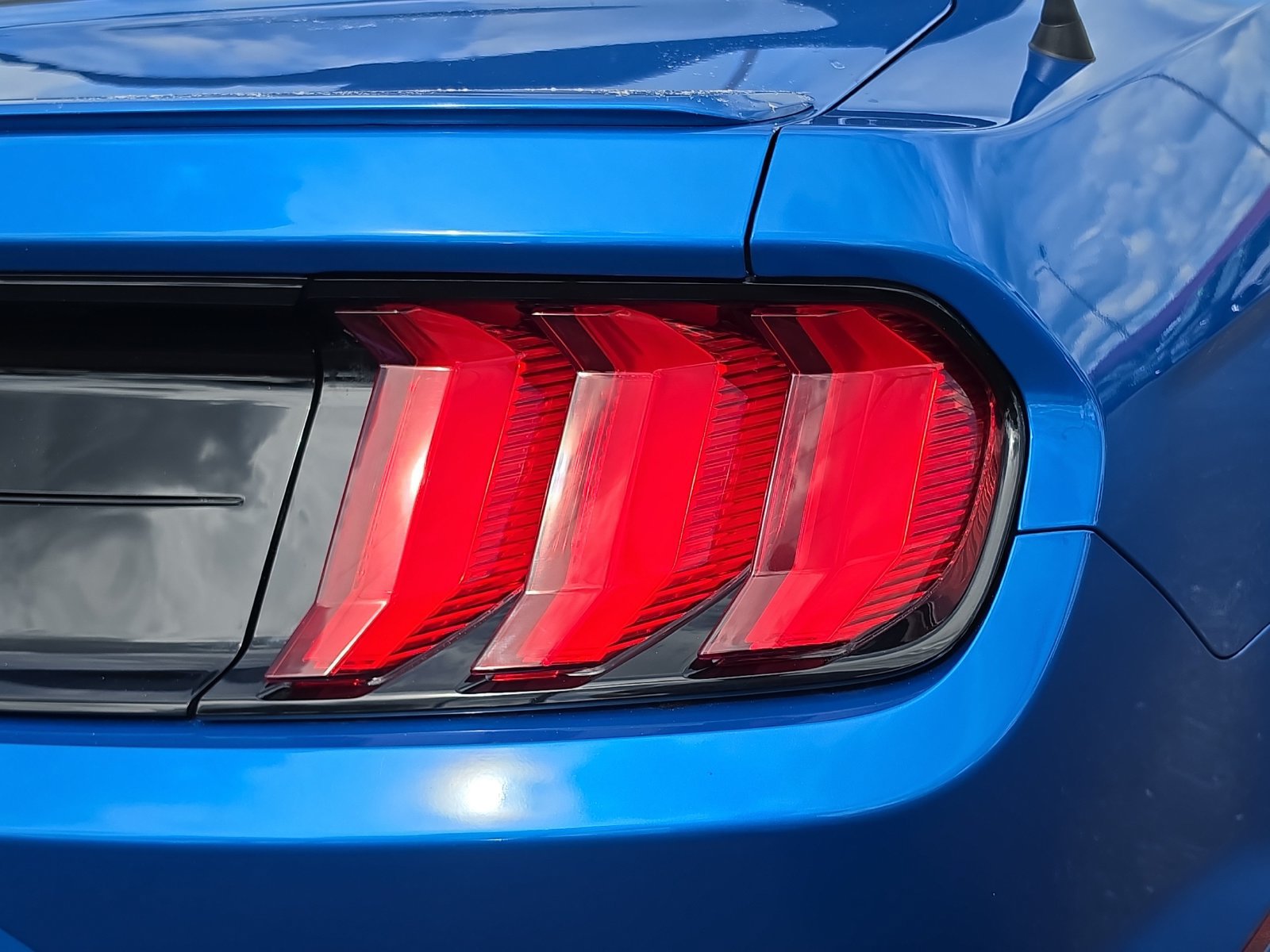 Used 2019 Ford Mustang GT Premium w/ Equipment Group 401A RWD image 8