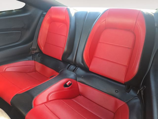 Used 2019 Ford Mustang Premium w/ Equipment Group 201A image 13