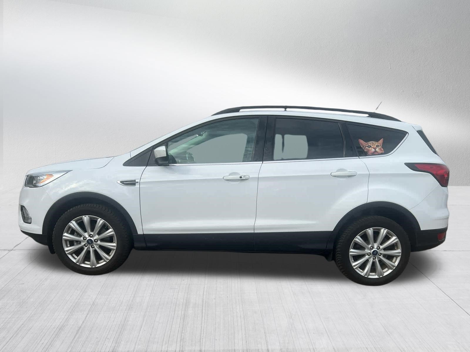 Used 2019 Ford Escape SEL AWD/4WD image 4