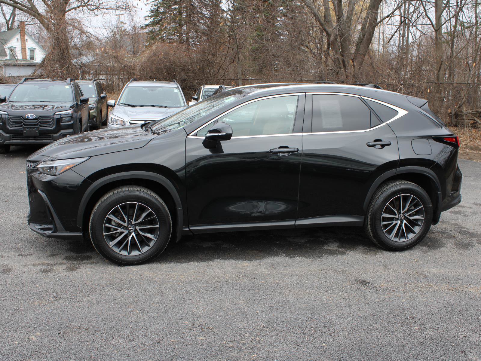 Used 2024 Lexus NX 350h AWD w/ Cold Area Package image 5