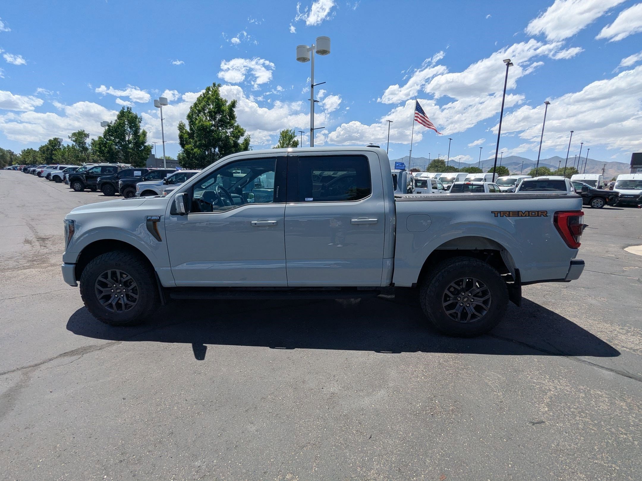 Used 2023 Ford F150 Tremor w/ Equipment Group 402A High AWD/4WD image 9