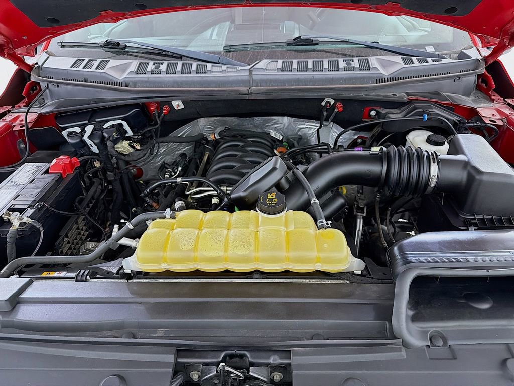 Used 2019 Ford F150 XLT w/ Equipment Group 301A Mid image 30