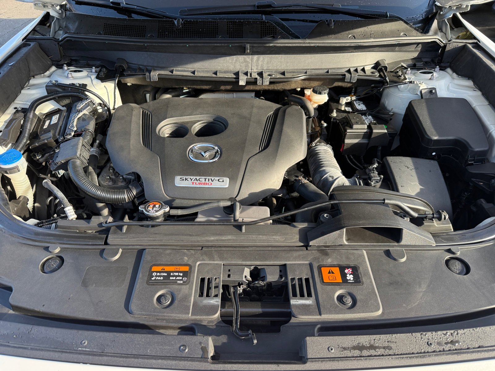 Used 2021 MAZDA CX-9 Signature image 20