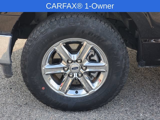 Used 2025 Ford F150 XLT w/ Equipment Group 301A Standard AWD/4WD image 6