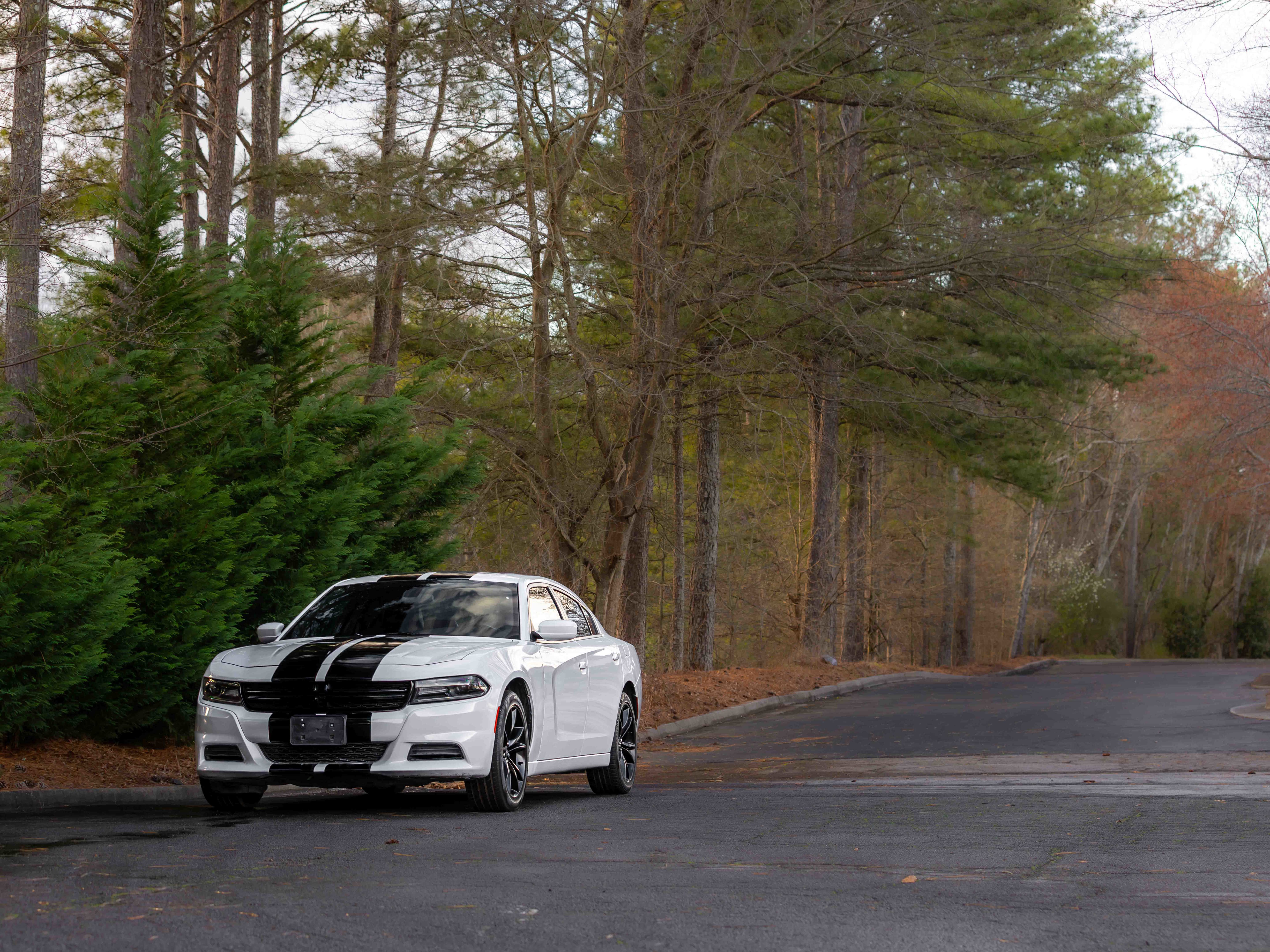 Used 2019 Dodge Charger SXT w/ Leather Interior Group image 40