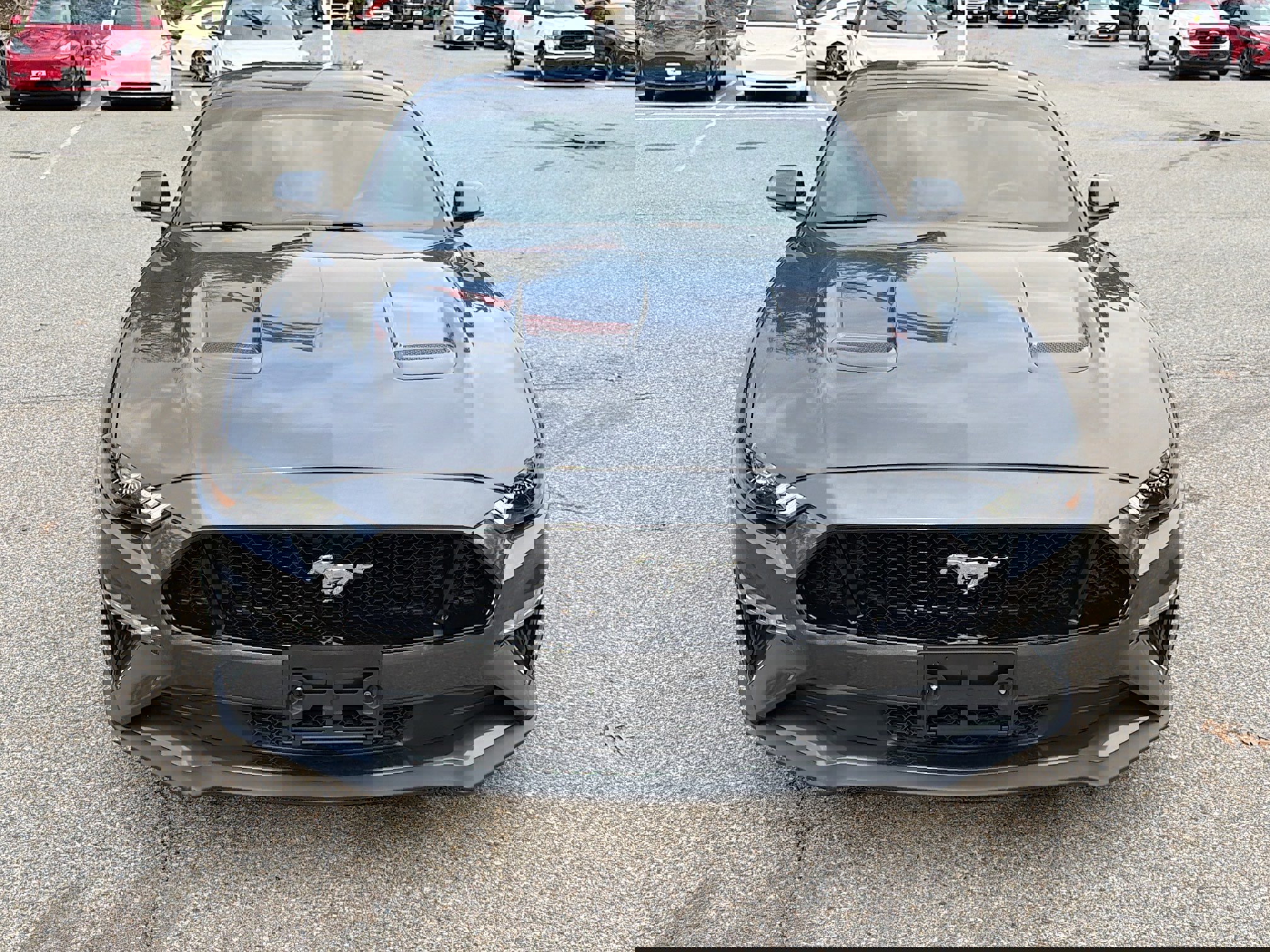 Used 2020 Ford Mustang GT Premium image 4