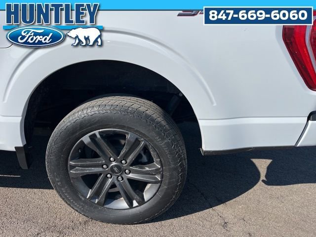 Used 2023 Ford F150 XLT w/ Equipment Group 302A High image 8