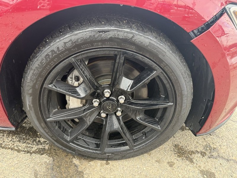 Used 2017 Ford Mustang GT Premium w/ Equipment Group 401A image 13