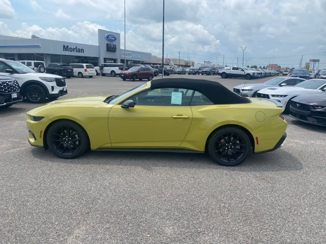 New 2025 Ford Mustang Premium image 3