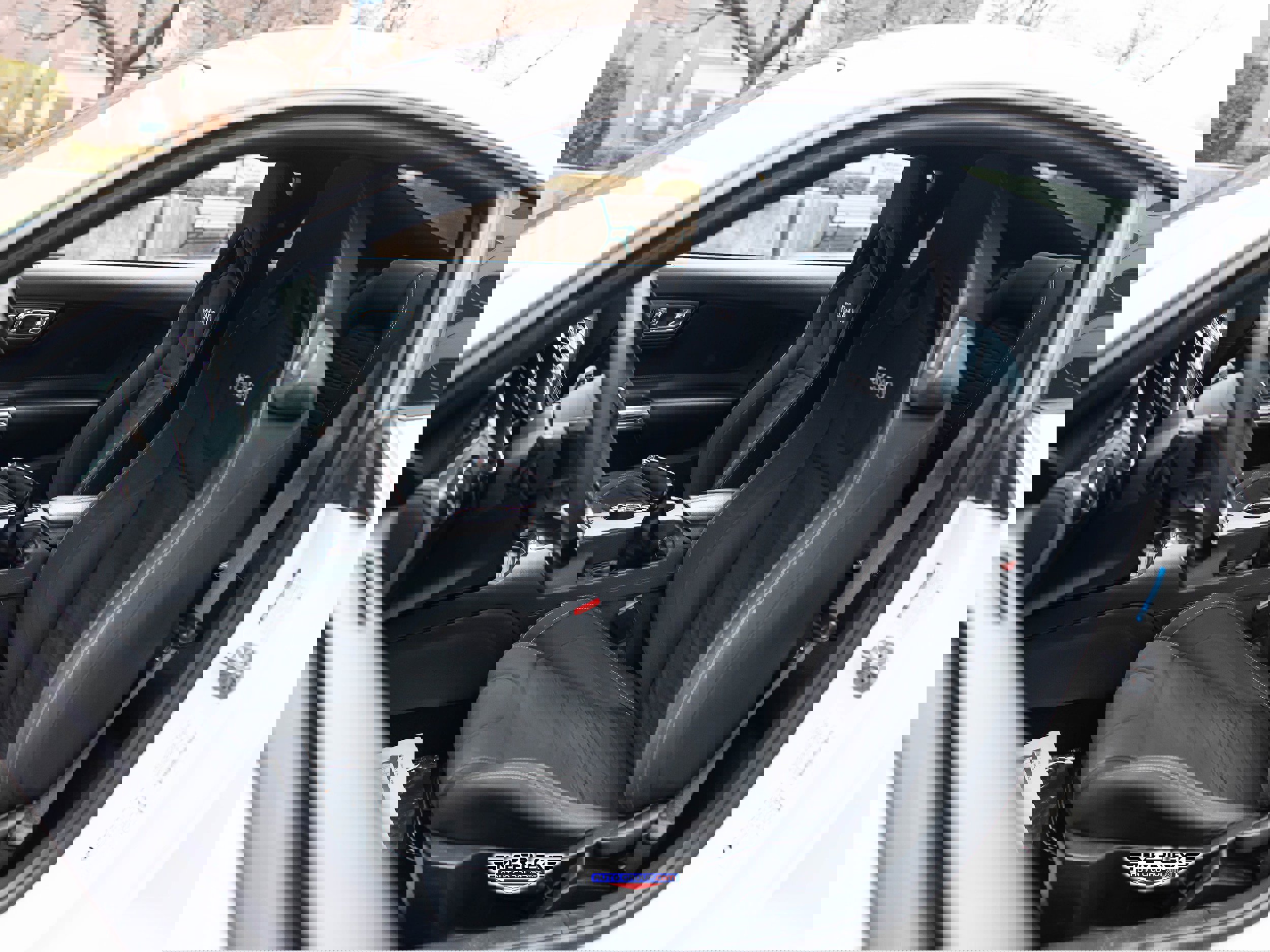 Used 2017 Ford Mustang GT w/ GT Performance Package image 15