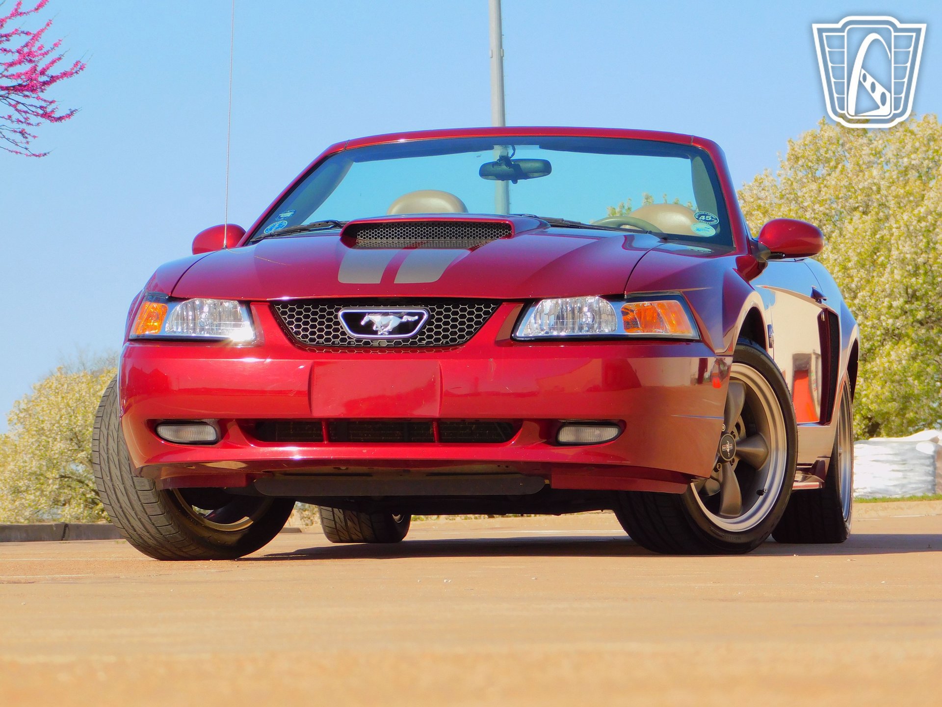 Used 2004 Ford Mustang GT RWD image 6