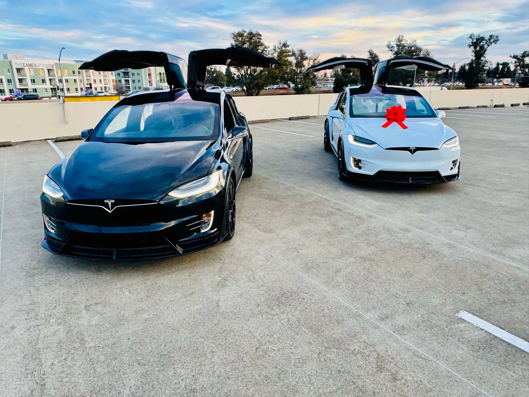 Used 2020 Tesla Model X Long Range image 15