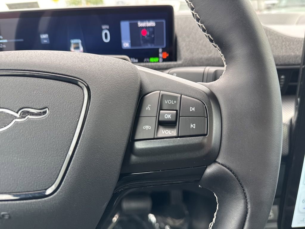 New 2025 Ford Mustang Mach-E GT image 29