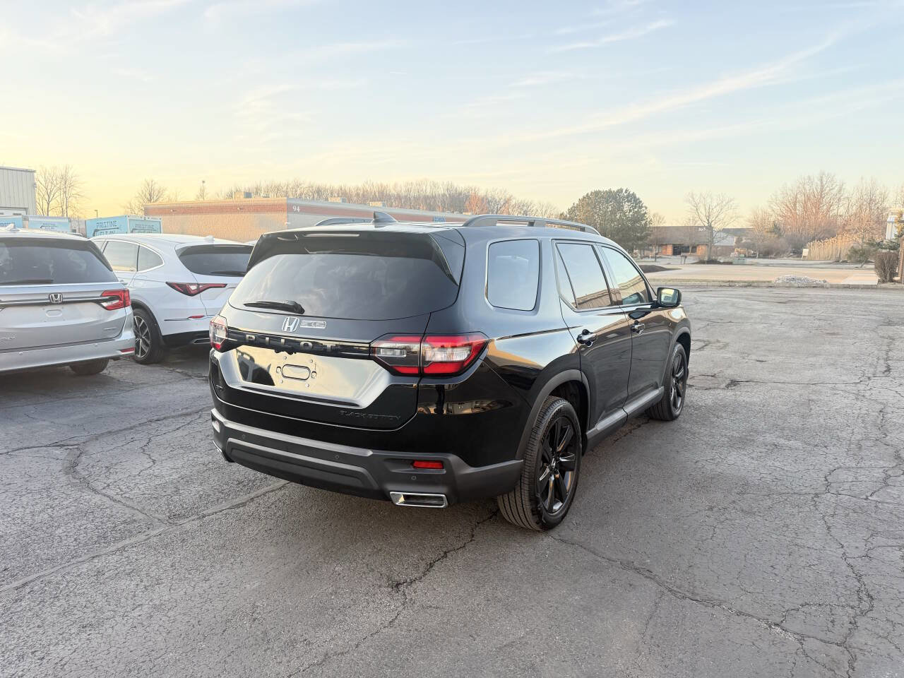 Used 2025 Honda Pilot Black Edition image 6