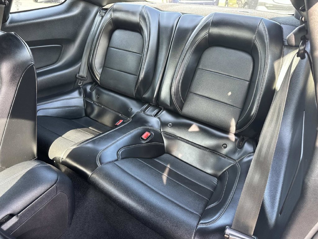 Used 2019 Ford Mustang GT Premium w/ Equipment Group 401A RWD image 12