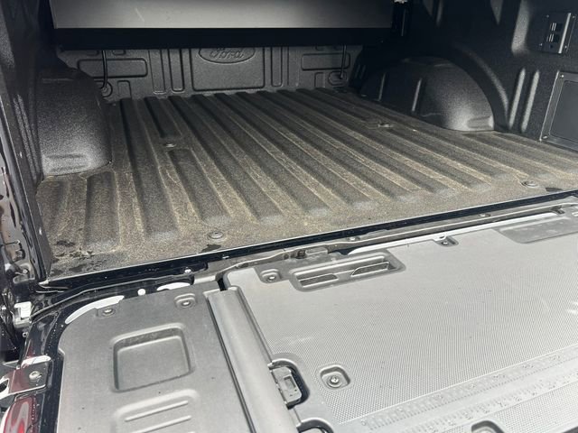 New 2026 Ford F150 Platinum image 14