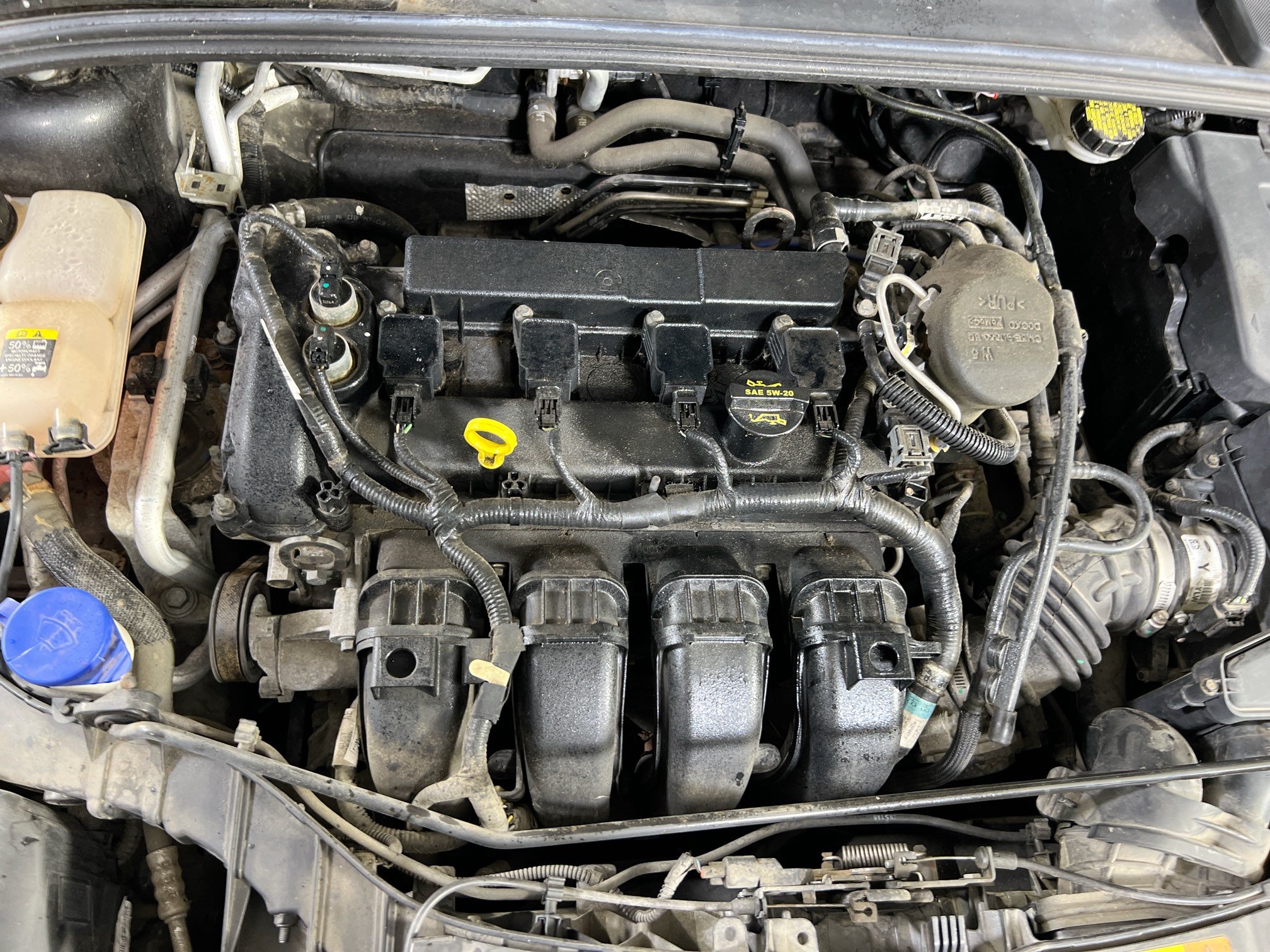 Used 2012 Ford Focus SE FWD image 26