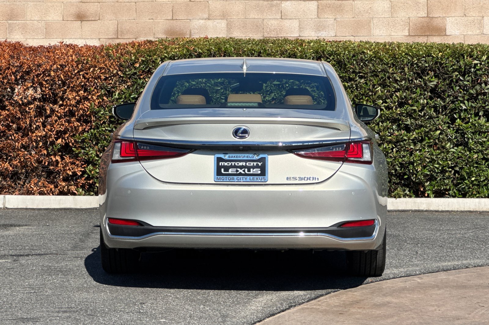 Used 2019 Lexus ES 300h w/ Accessory Package 2 FWD image 5