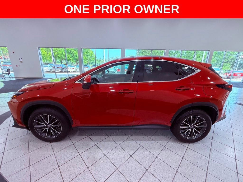 Certified 2025 Lexus NX 250 FWD w/ Cold Area Package image 4