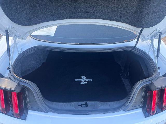 Certified 2019 Ford Mustang Shelby GT350 w/ Technology Package image 7