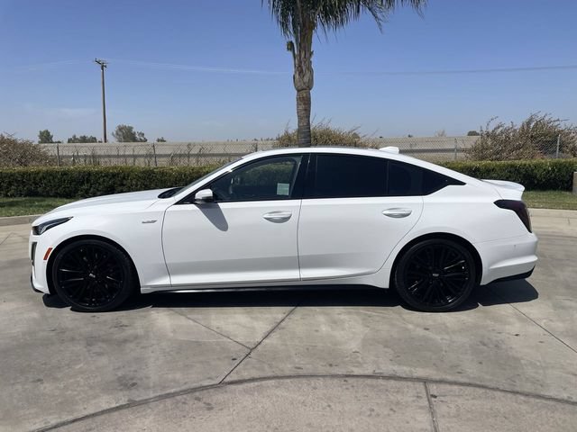Used 2020 Cadillac CT5 V w/ Platinum Package RWD image 5