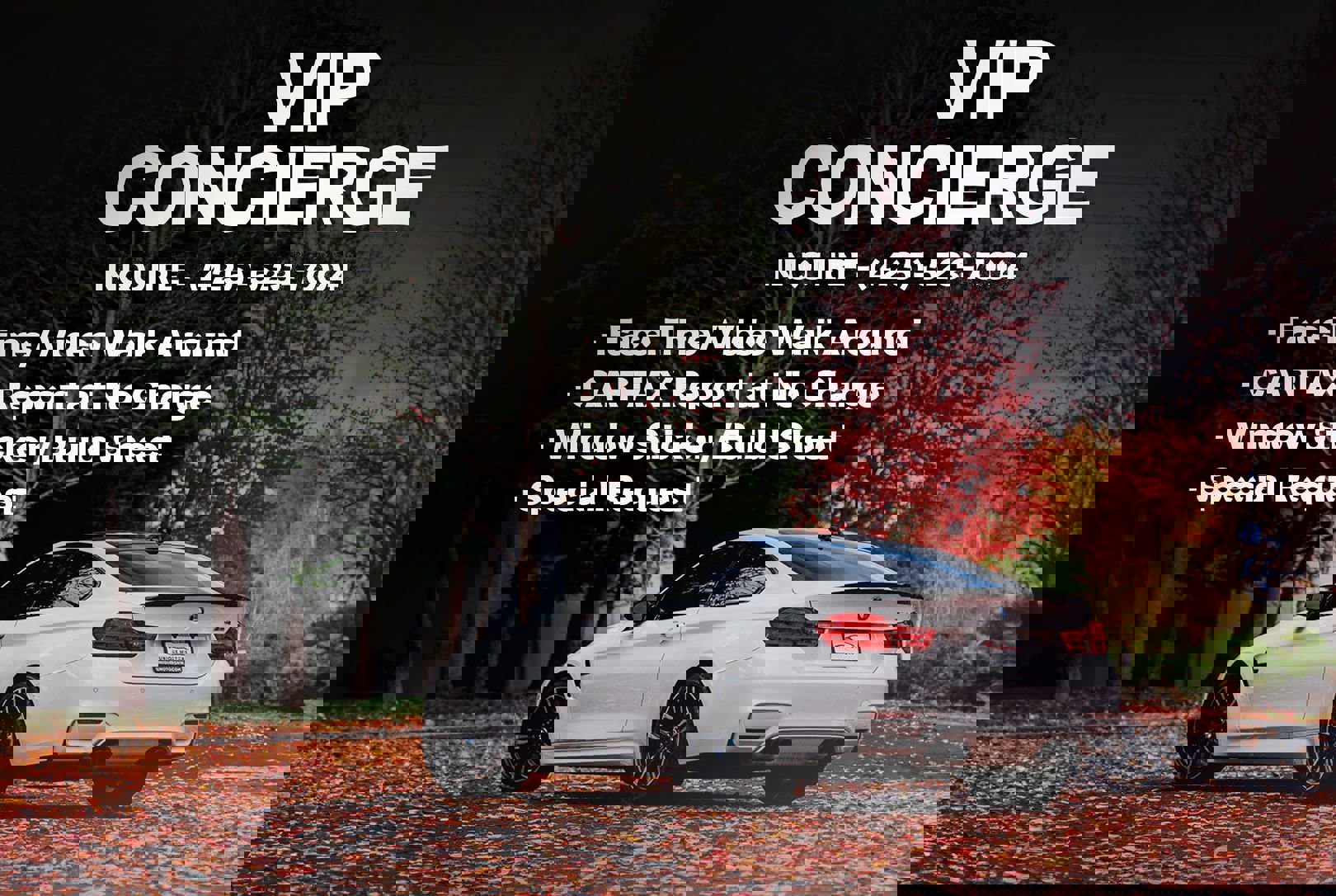 Used 1999 Jaguar XK8 Coupe image 7