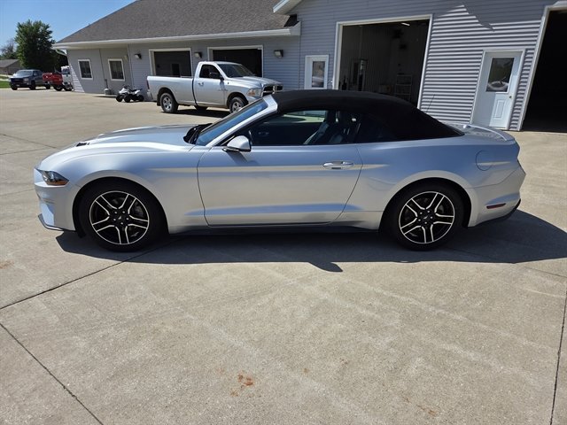 Used 2018 Ford Mustang Premium w/ Equipment Group 201A image 4