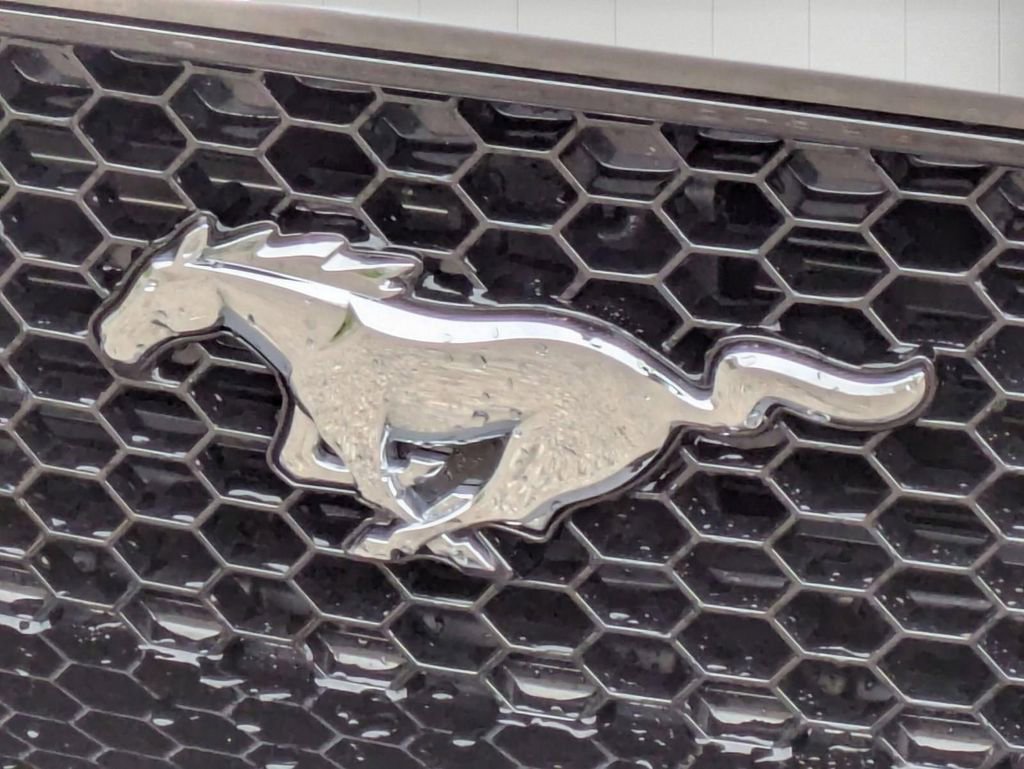 Used 2019 Ford Mustang GT RWD image 10