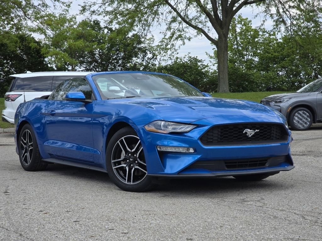 Used 2019 Ford Mustang Premium w/ Equipment Group 201A RWD image 2
