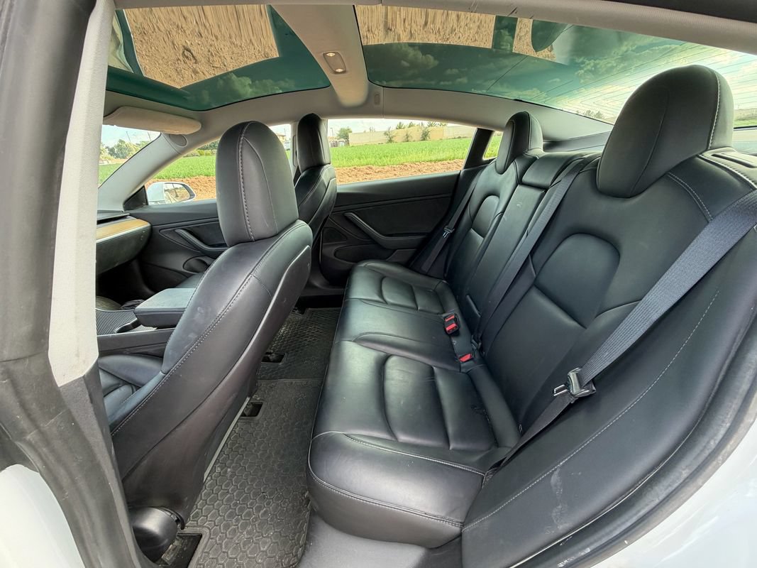 Used 2019 Tesla Model 3 Standard Range RWD image 10