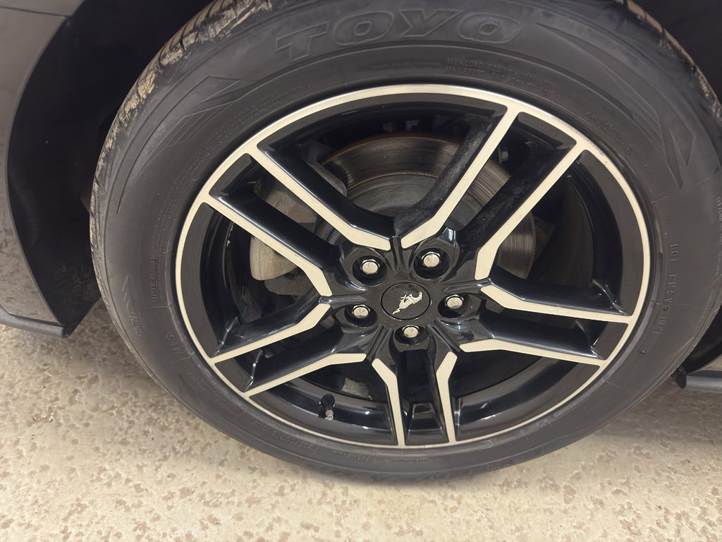 Used 2019 Ford Mustang Premium image 28