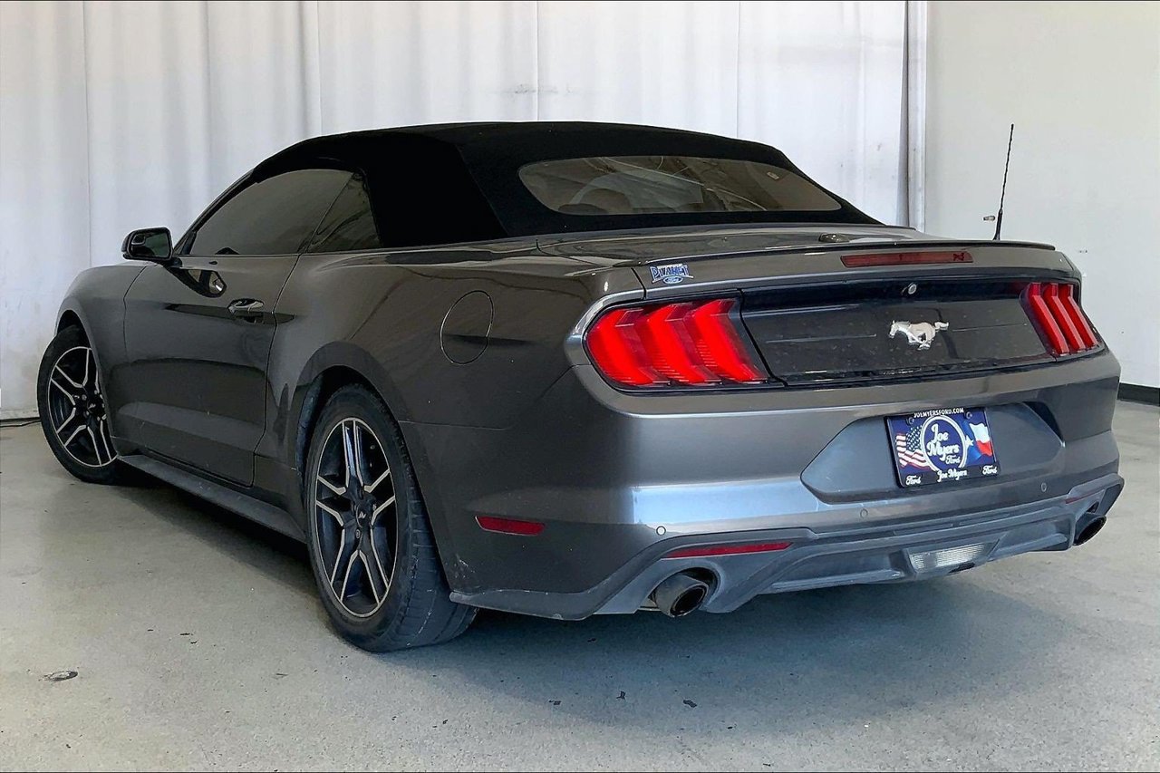 Used 2019 Ford Mustang Premium RWD image 5