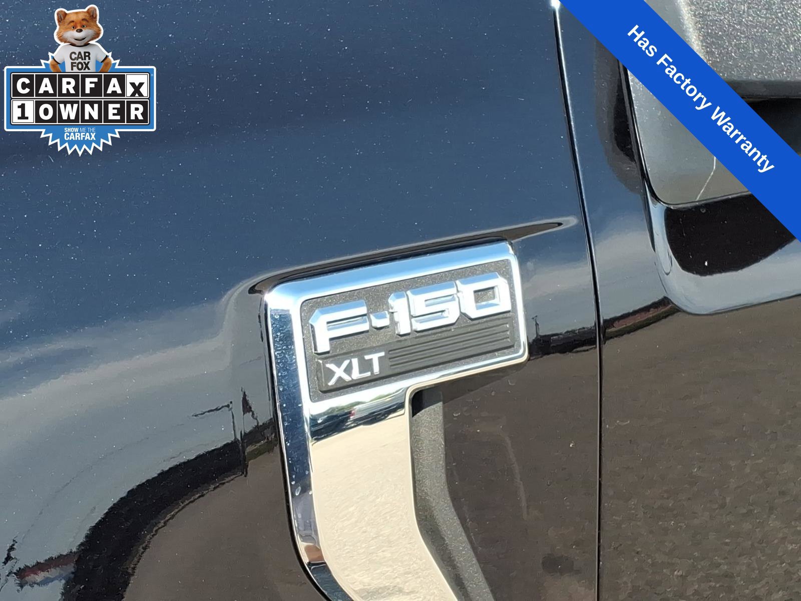 Used 2025 Ford F150 XLT w/ Equipment Group 301A Standard RWD image 9