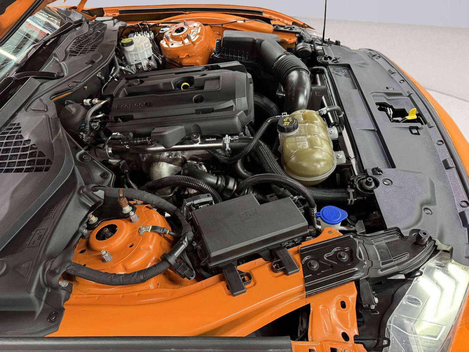 Used 2020 Ford Mustang Coupe RWD image 41