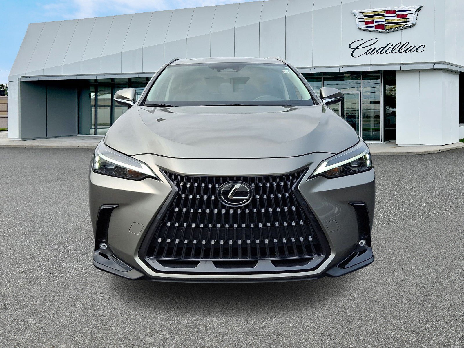 Used 2024 Lexus NX 350 AWD w/ Cold Area Package image 2