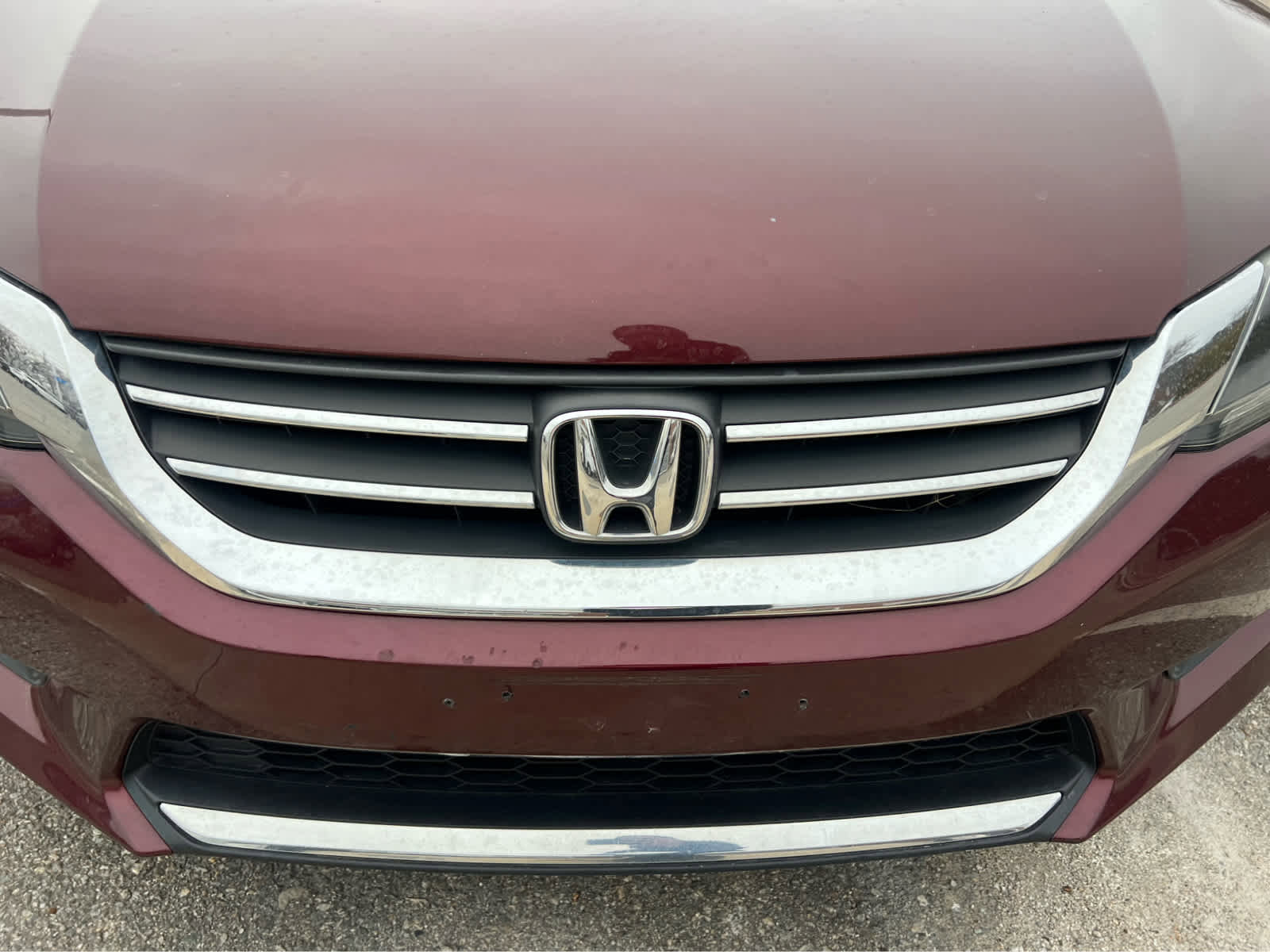 Used 2014 Honda Accord EX-L image 4
