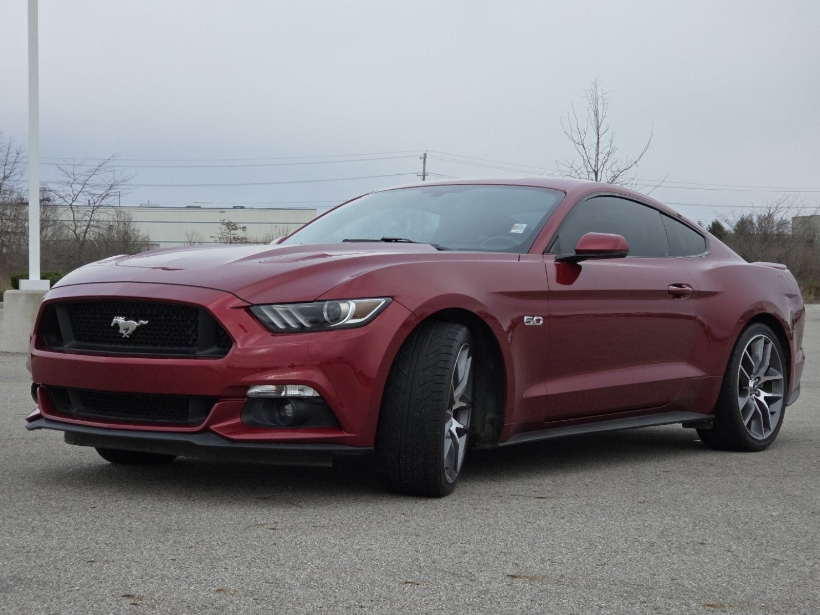Used 2016 Ford Mustang GT Premium w/ Equipment Group 401A image 13