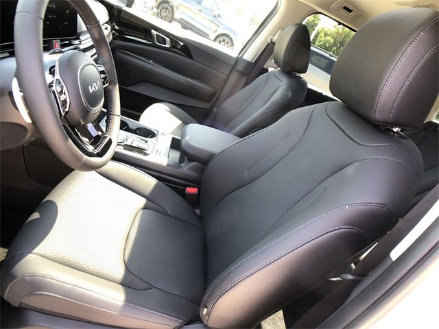 New 2026 Kia Carnival SX Prestige image 11