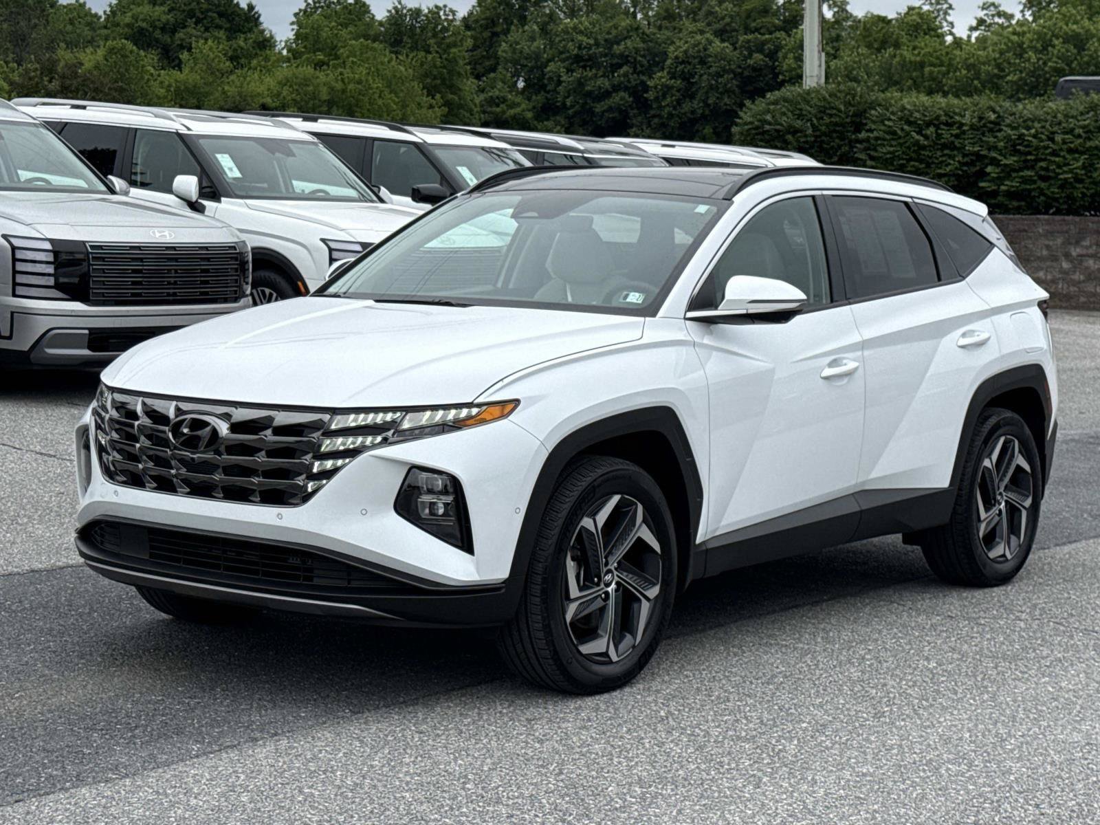 Certified 2024 Hyundai Tucson Limited AWD/4WD image 28