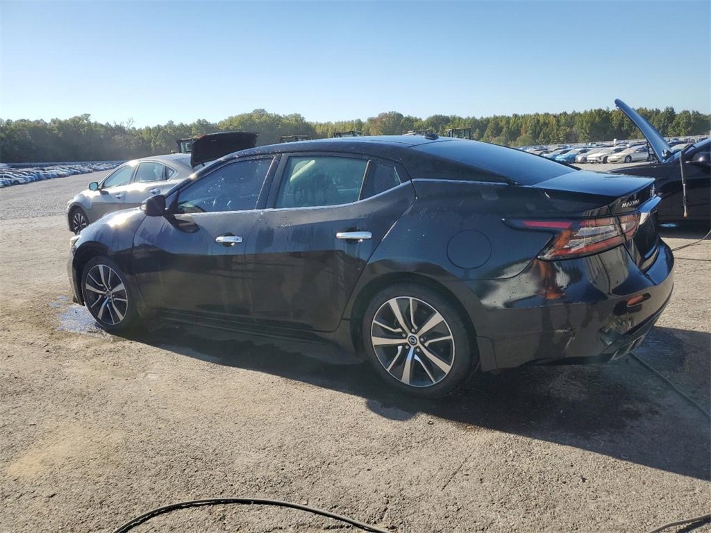 Used 2019 Nissan Maxima 3.5 SL w/ Illumination Package image 3