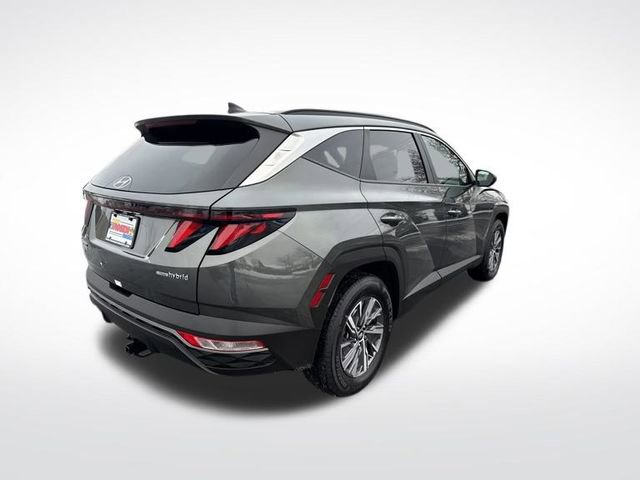 Used 2024 Hyundai Tucson Blue image 5