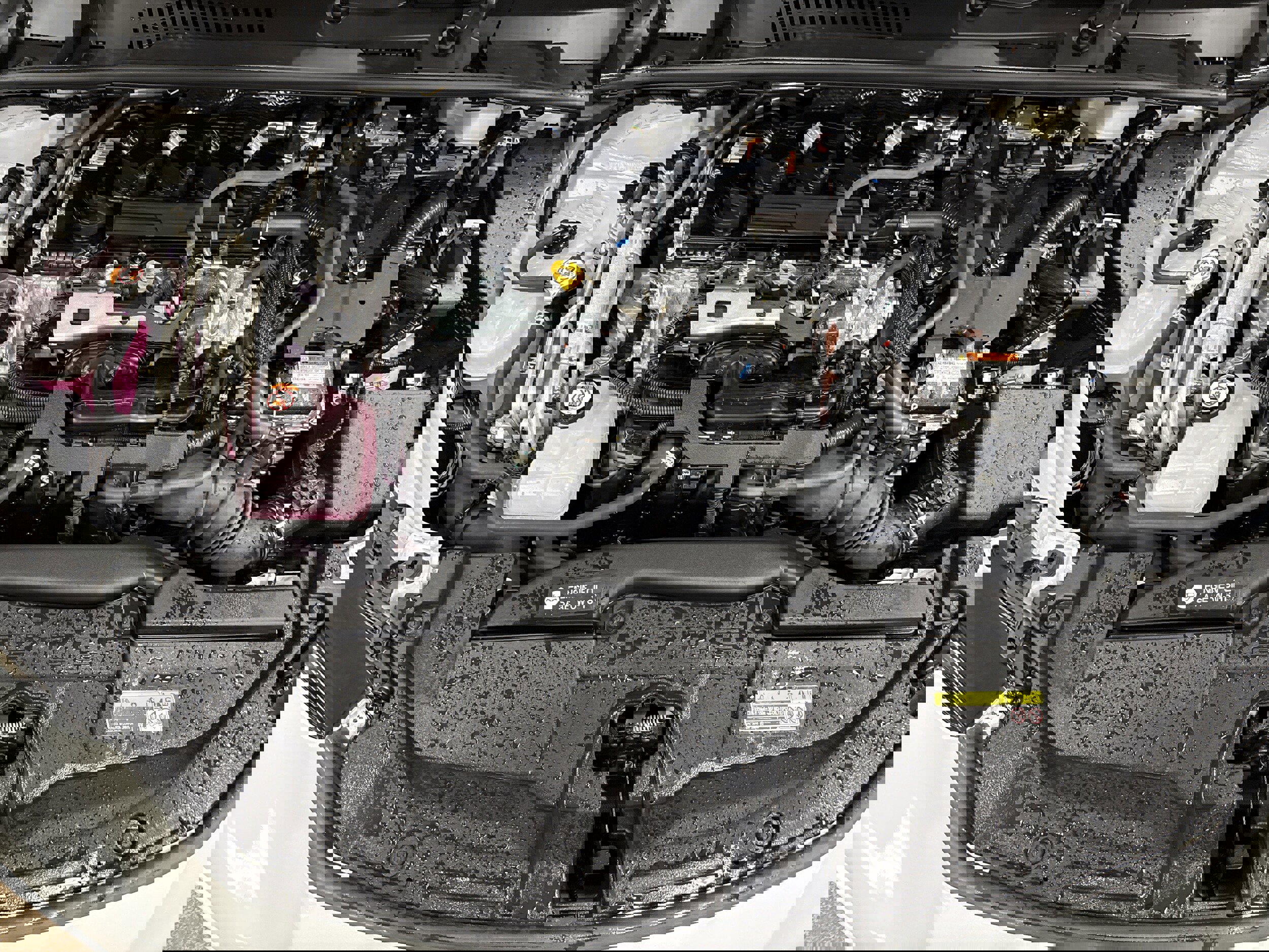 Used 2025 Toyota Prius SE image 13