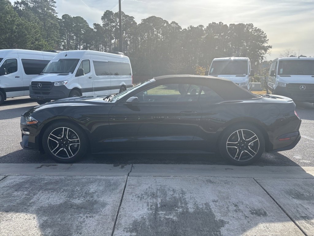 Used 2019 Ford Mustang Premium image 7