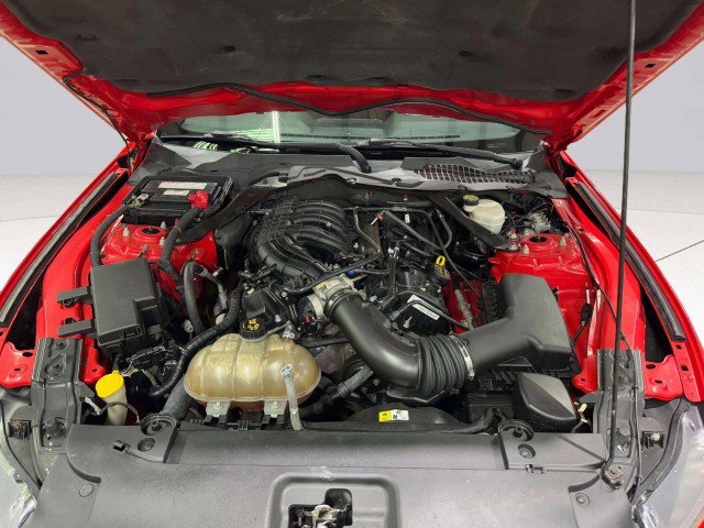 Used 2015 Ford Mustang Convertible w/ Equipment Group 051A image 43