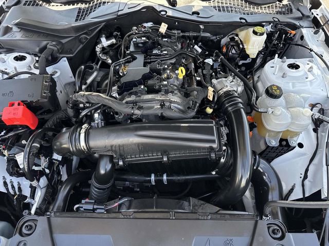 Used 2024 Ford Mustang Premium image 10