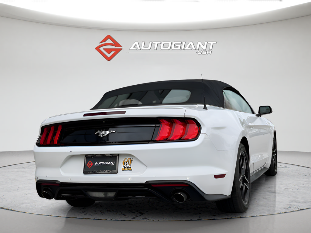 Used 2019 Ford Mustang Premium RWD image 10