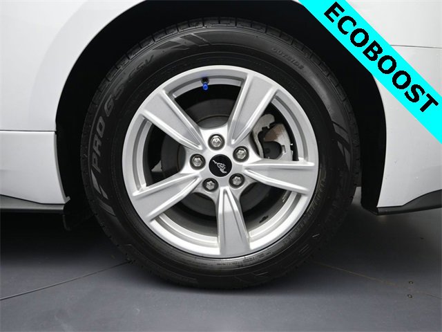 Used 2021 Ford Mustang EcoBoost image 10