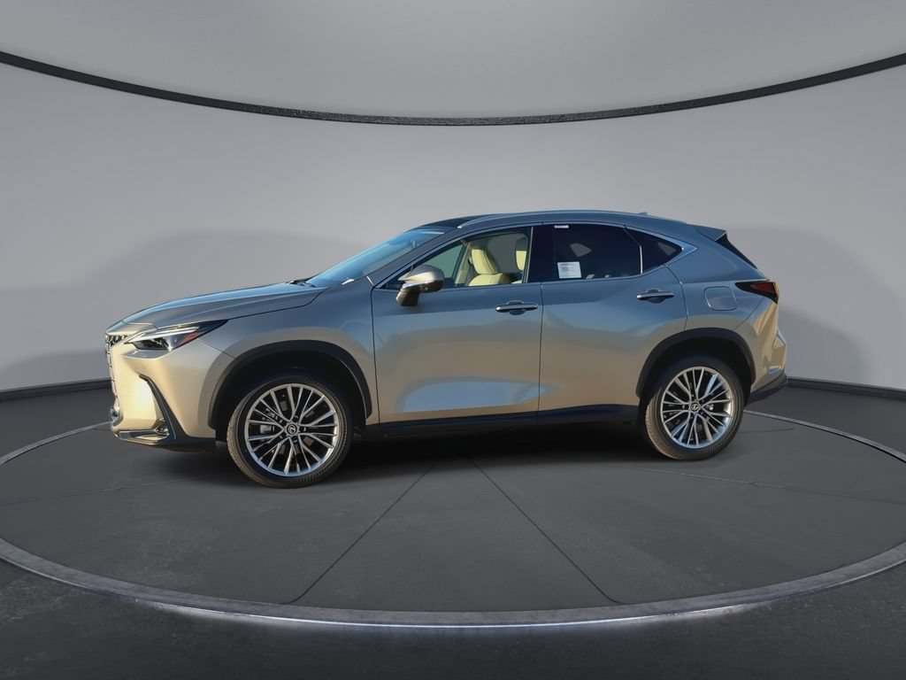 New 2026 Lexus NX 350 AWD w/ Cold Area Package image 5